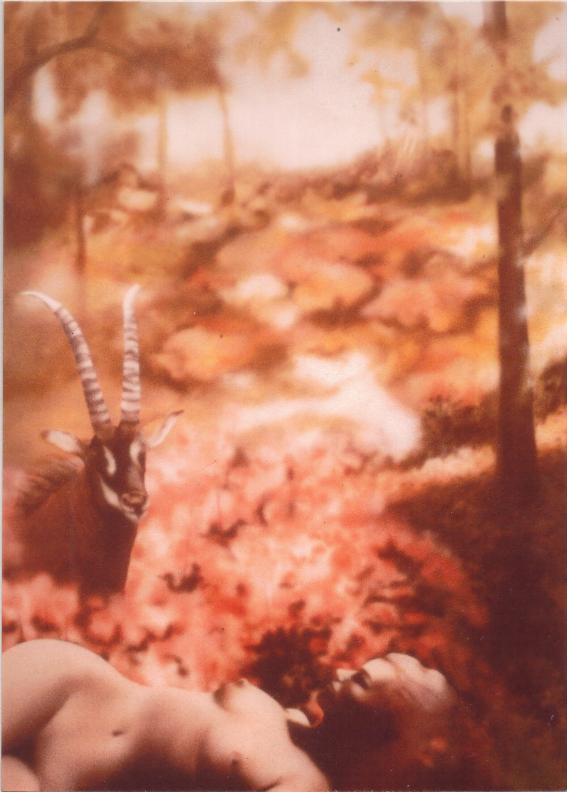 Nude with Antelope in Pink Azaleas