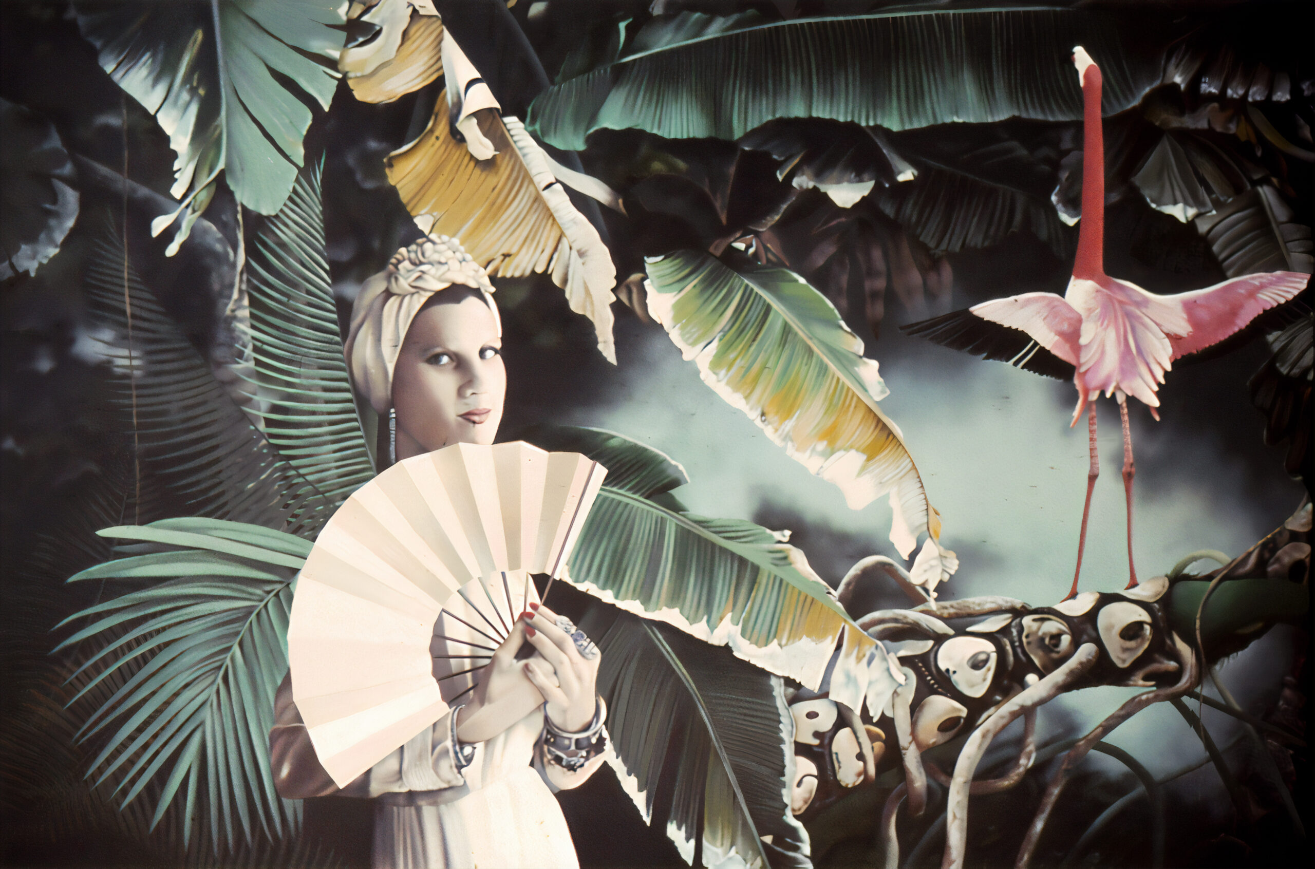 Renée with Fan and One Flamingo