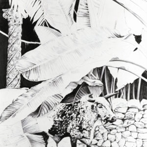 Creten Jungle