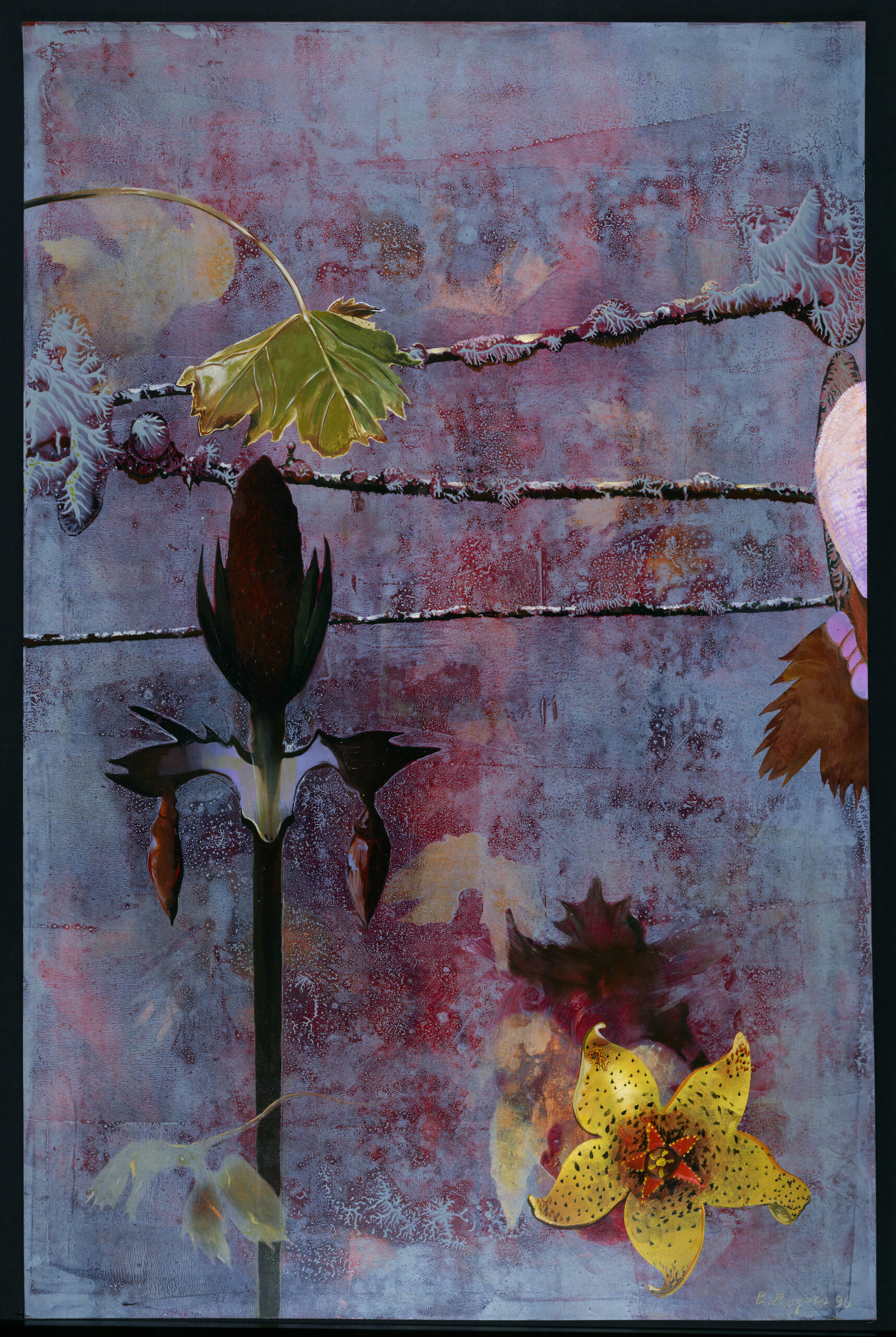 Her Garden: Objects and Sites Remembered #24