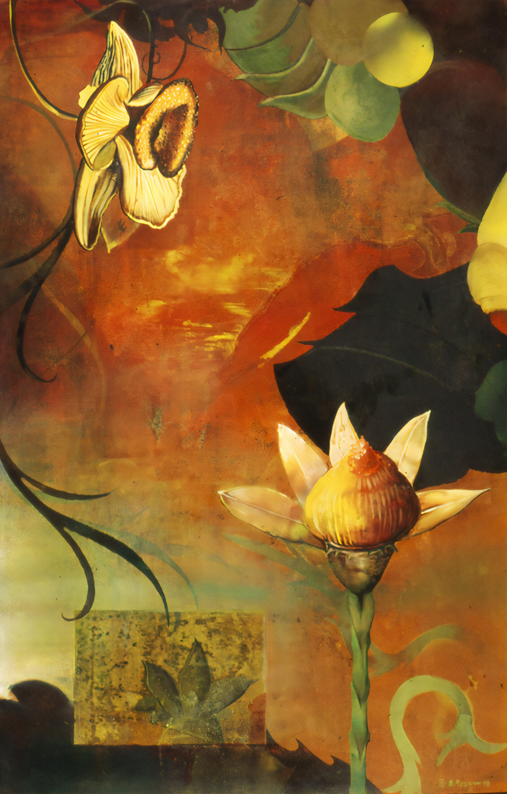 Her Garden: Objects and Sites Remembered #26