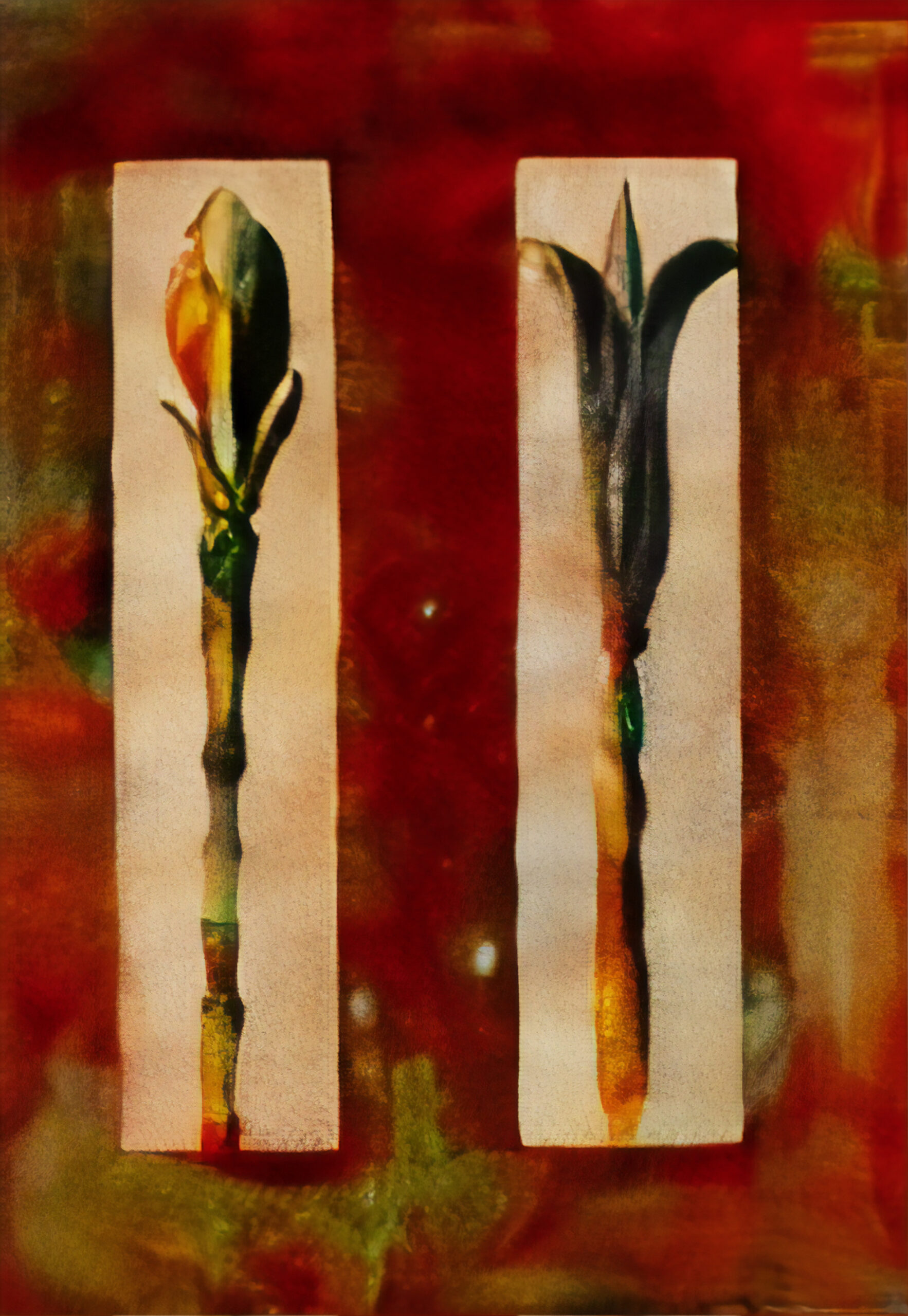 Her Garden: Objects and Sites Remembered #30