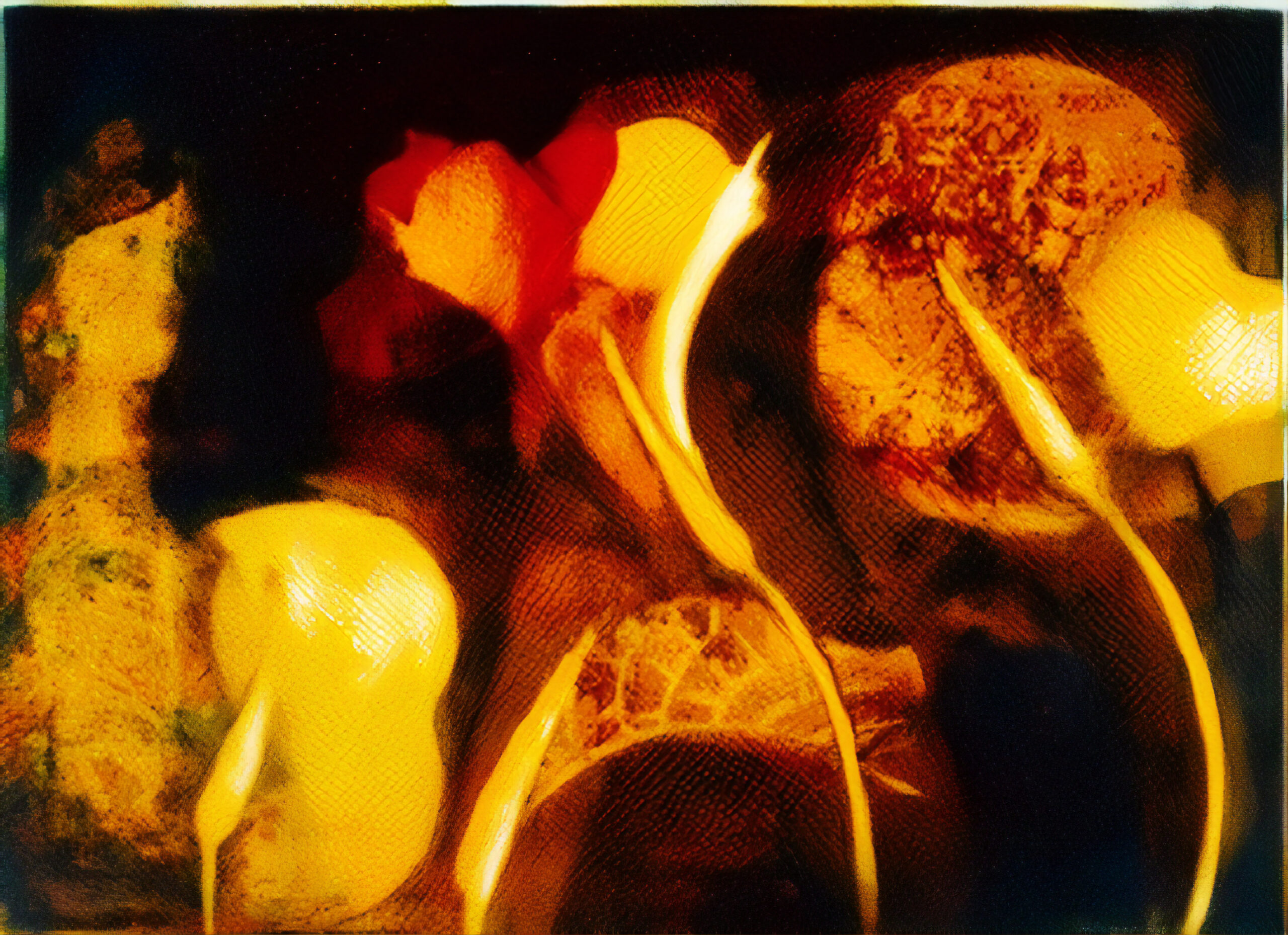A Garden for the Sixth Sense #17