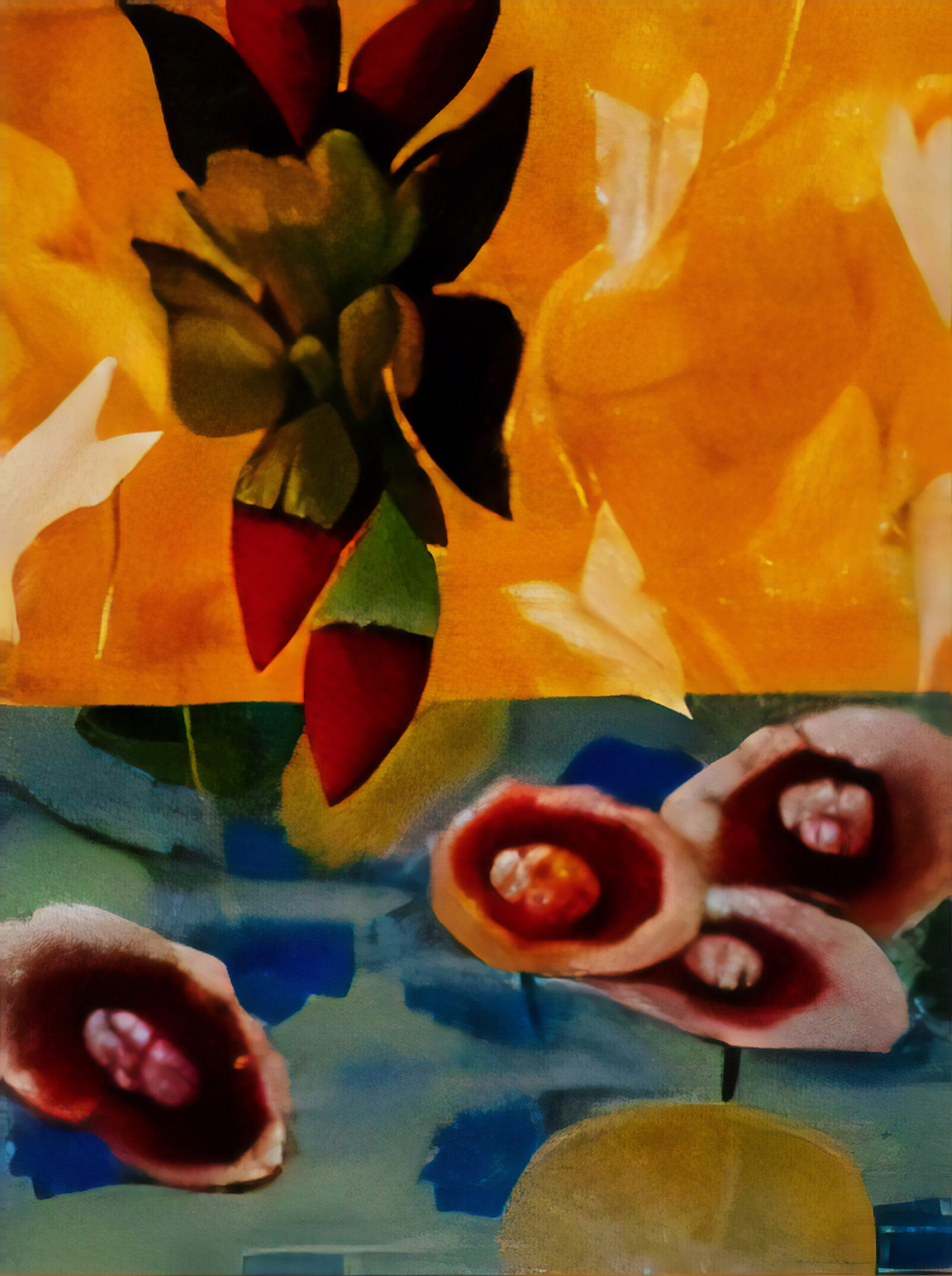 Her Garden: Objects and Sites Remembered #49