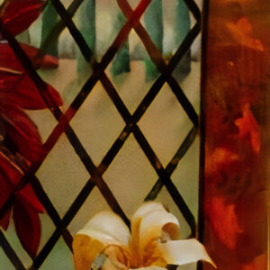 Her Garden: Objects and Sites Remembered #51