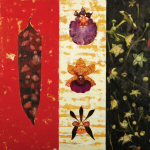 Hothouse Hybrids #19