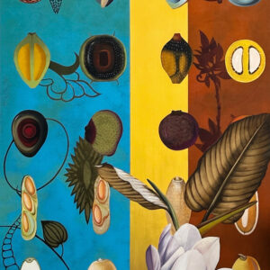 Seed Collector